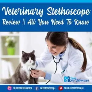 Veterinary Stethoscopes Review The Only Guide You Need